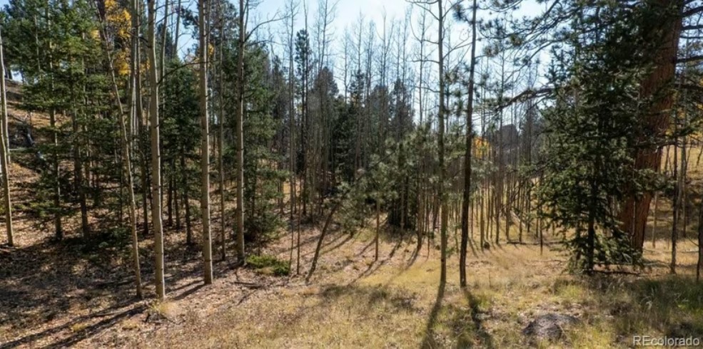 Commercial Property for Sale in Cripple Creek Colorado 80813